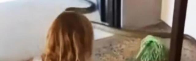 Devojčica isterala OPASNOG GMIZAVCA iz kuće: Prizor šokirao sve! "Kad te tata nauči..." (VIDEO)