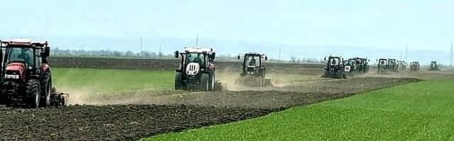 Репа добро напредује, ускоро почиње сетва кукуруза