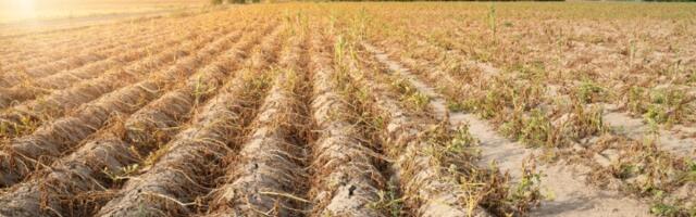 Skupo plaćen promašaj: Navodnjavanje u Srbiji daleko od planova!