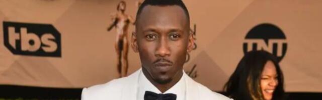 Uskoro počinje snimanje novog Blejda