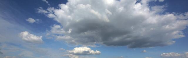 Zemlja skupa kao suvo zlato: Hektar oranice u novosadskom ataru prodat za neverovatnu sumu - padaju rekordi