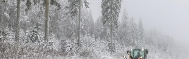 Ситуација на северу Немачке се нормализује после олује Ели