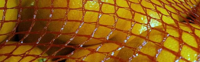 Evo zašto se narandže prodaju u crvenim mrežastim pakovanjima