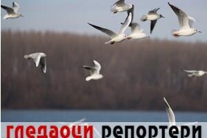 Гледаоци репортери (5. децембар 2022)