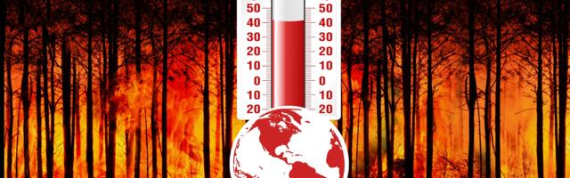 Vrućine i neaktivnost ubijaju