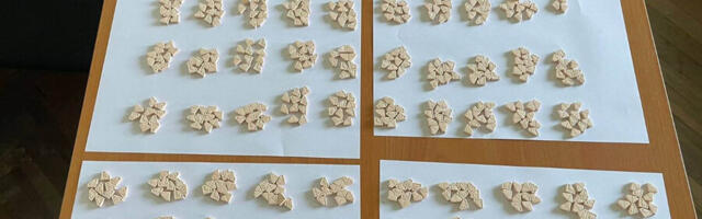 Niška policija pronašla 993 tablete MDMA droge
