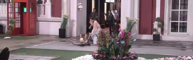 Uroš Stanić se ispružio koliko je dug: Pao sa štikli, a kombinezon istakao pozadinu (VIDEO)