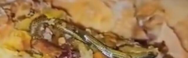 NIJE ZA ONE SA SLABIM STOMAKOM! Žena pronašla ZMIJU U PECIVU IZ PEKARE, od prizora će vam POZLITI (VIDEO)