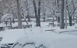 NESVAKIDAŠNJI PRIZOR U CENTRU KRALJEVA: Građani ostali u neverici kada su usred grada uočili ovu ŽIVOTINJU, odmah izvadili telefone da je snime (VIDEO)