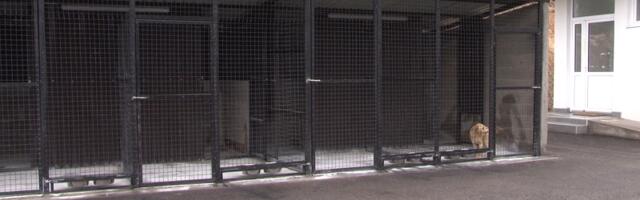 Novi Pazar otvorio gradsko prihvatilište za pse i mačke