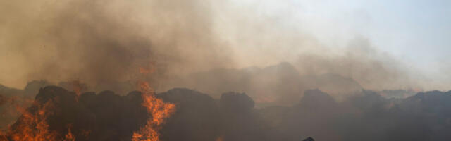 Požari u Grčkoj: Tri žrtve na osrtvu Evija