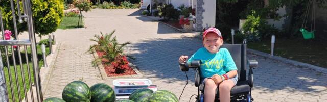 Laza pokrenuo sopstveni biznis: Prodaja najslađeg bostana u selu Čokot kod Niša