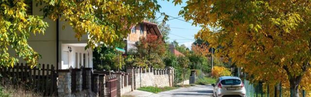 Na radost Miladinovića, rođene su četvorke: Ova lepota se ne pamti u srpskom selu