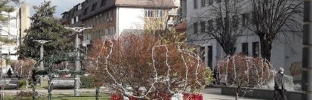 MANJE NOVOOBOLELIH I VIŠE HOSPITALIZOVANIH