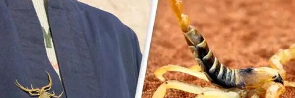 Zastrašujuća oluja u Egiptu izazvala migraciju hiljada škorpija u gradske sredine