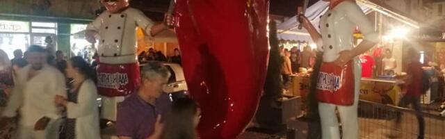 Tea Tairović, Breskvica, Crvena jabuka, Dejan Matić i Amadeus bend za ukupno 77.000 evra pevaju na „Roštiljijadi“