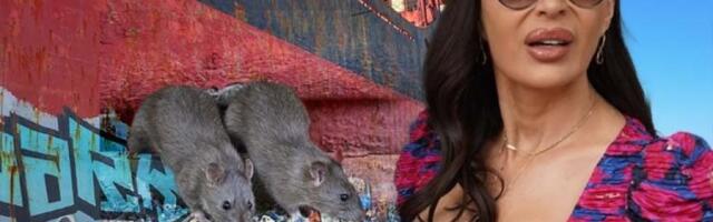 KO SU "PACOVI KOJI SU PRVI NAPUSTILI CECIN BROD"?! O Ražnatovićkinoj izjavi bruji CELA SRBIJA, svi se pitaju samo jedno!