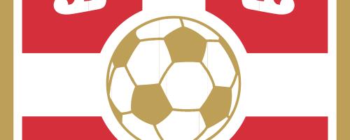 Preminuo bivši predsednik FSS Nemanja Stanković