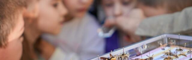 U susret proleću uz urbane oprašivače: Porodična radionica u Muzeju nauke i tehnike