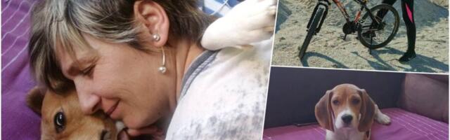 Čudesna priča iz Kragujevca: Na Sanju je njen omiljeni bigl Tobi iz čista mira zarežao, pa udario. Ispostavilo se da joj je time spasao život