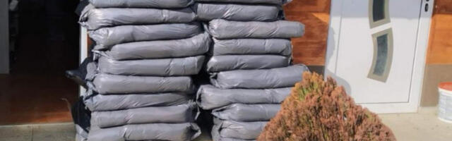 ŽENA ŠVERCOVALA SKORO 300 KILOGRAMA DUVANA! Policajci zaustavili "citroen", pa ostali u ŠOKU!