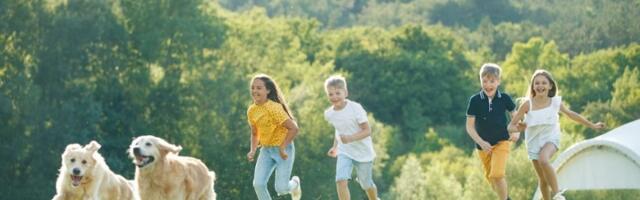 Dreser otkrio tri retke rase pasa koji su savršeni kućni ljubimci (FOTO)