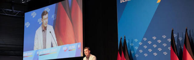 Жан-Паскал Хом изабран за председника нове омладинске организације АфД-а