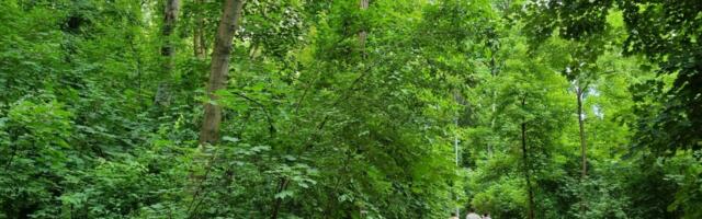 Hrvati BESNI! Stranci masovno dolaze i ČUPAJU skupu namirnicu iz zemlje: Zarađuju, a uništavaju sve