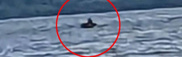 Šta ovo izranja iz najmisterioznijeg jezera na svetu? Pojavio se ŠOK snimak: Kreće se neverovatnom brzinom