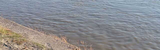 RHMZ izdao upozorenje: Sava u porastu, očekuje se prevazilaženje kritične granice kod Šapca