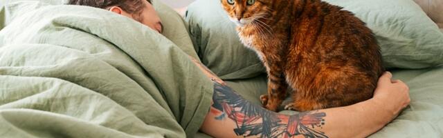 Da li ste srećniji ili umorniji kada spavate pored svog ljubimca: Istraživanja otkrila neočekivane rezultate