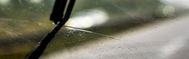 GOSPODIN DOBIO ČUDAN ZNAK ZA SREĆU: Ono što su ptice uradile njegovom automobilu zgroziće mnoge: "Neka uplati loto"