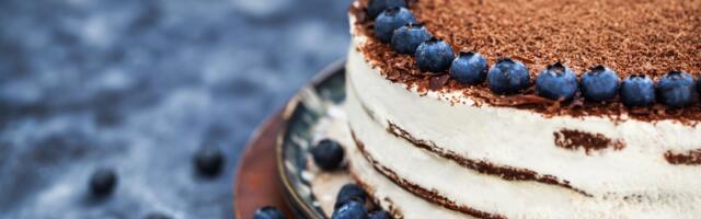 Kremasta torta sa borovnicama