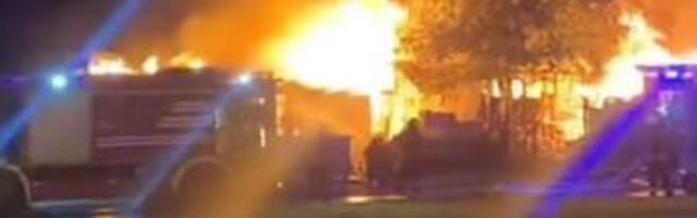 Požar na Bežanijskoj kosi (VIDEO)