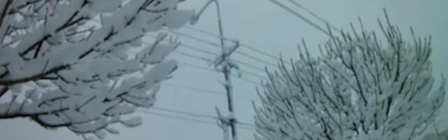 Nepristupačan teren, smetovi na putu ka dalekovodima: Elektrodistribucija Srbije objavila sve o kvarovima