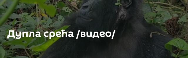 Дупла срећа /видео/