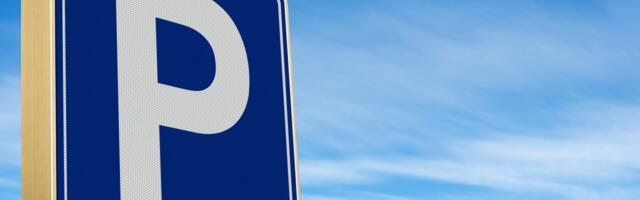 Gladna zver šeta po parkingu, psi laju! Snimak iz komšiluka digao Balkan na noge: Ne zna se gde je pobegla