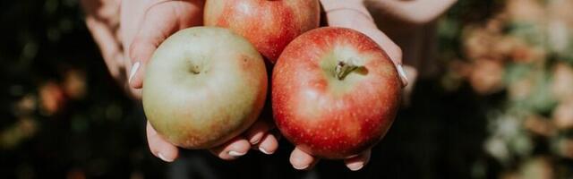 Najgore doba dana za konzumiranje jabuka