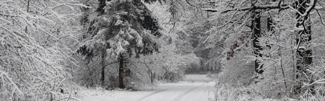 “Zver sa istoka” će nam doneti ledene dane: Ristić otkriva kada će doći do značajnog pada temperature