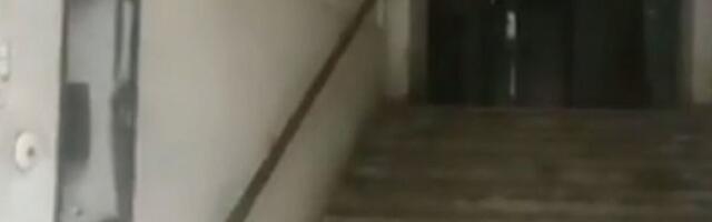 Čudan prizor u ulazu na Banovom Brdu: Komšije izašle da vide, morali su da slikaju, gledajte samo ovo (FOTO)