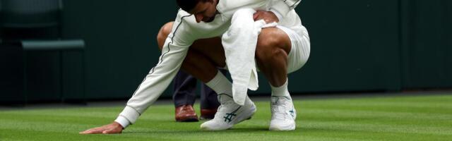 "Đoković gospodari travom, nema ih mnogo koji mogu da ga pobede!" Čuvena teniserka ubeđena da Novak osvaja Vimbldon