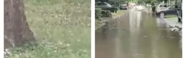 Katastrofalne posledice oluje u Subotici: Grad tukao sve pred sobom - fotke lede krv u žilama (FOTO, VIDEO)