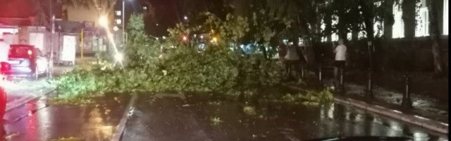 JAKO NEVREME POGODILO SMEDEREVO! Grad tukao 10 minuta, oluja lomila drveće, leteo lim, gejziri na ulicama... Nepogode besnele po Srbiji! /FOTO, VIDEO/