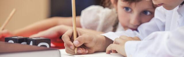 OBRAZOVANJE U KRIZI : U ovoj opštini 19,35 odsto stanovnika nema ni osnovnu školu