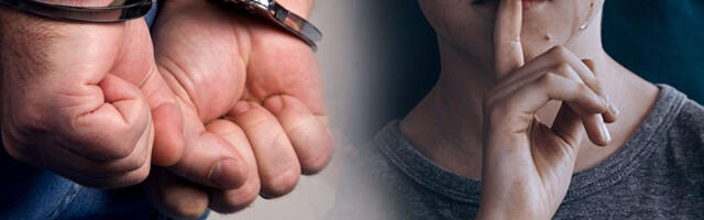 PREDATOR SA DUNAVA PRED SUDOM: Detalji napada na dečaka u Novom Sadu, svedok ga jurio dok nije došla policija