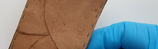 Tašna od gljiva umesto kože