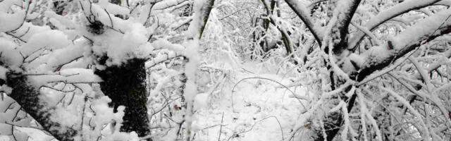 Proglašena vanredna situacija u Loznici zbog otežanog snabdevanja električnom energijom