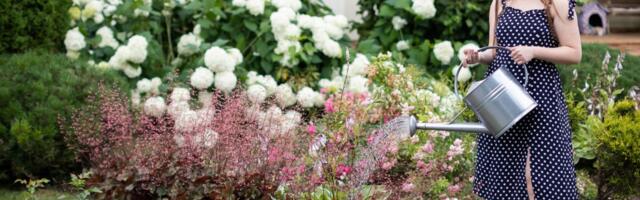 3 biljke koje treba orezati u aprilu pre nego što temperature postanu više: Trik za duplo više cvetova