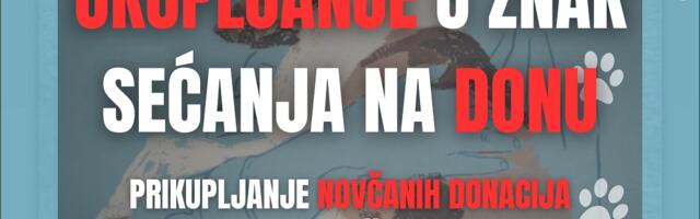 Skup u Nišu u znak sećanja na pregaženu Donu