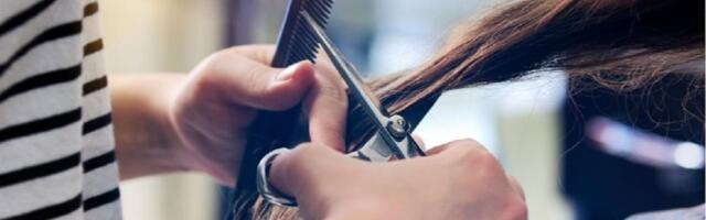 Rastu šanse za zapošljavanje Roma kroz stručne obuke: Zanati, IT i uslužne delatnosti najtraženiji sektor